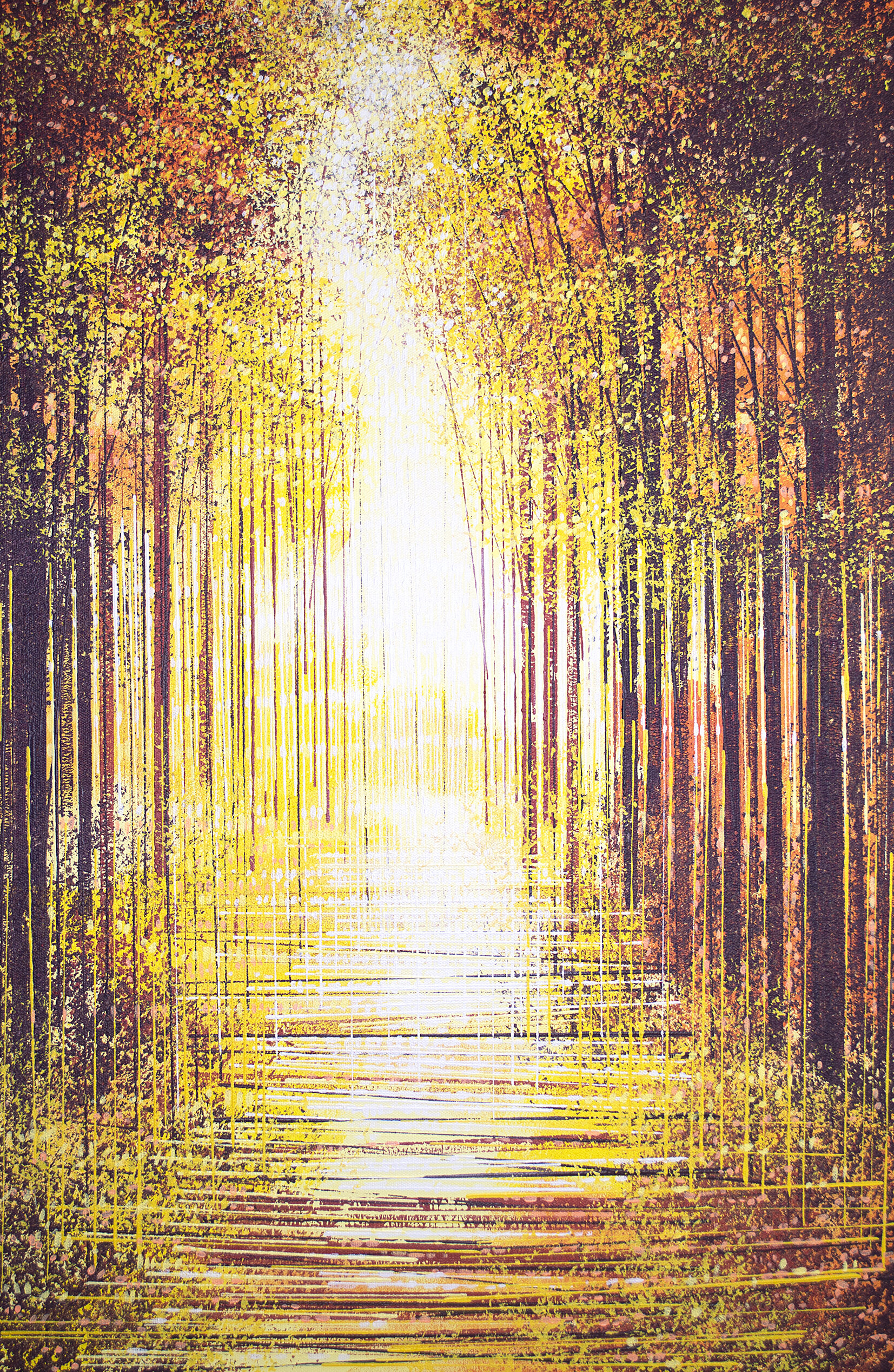 Forêts Intérieures 4