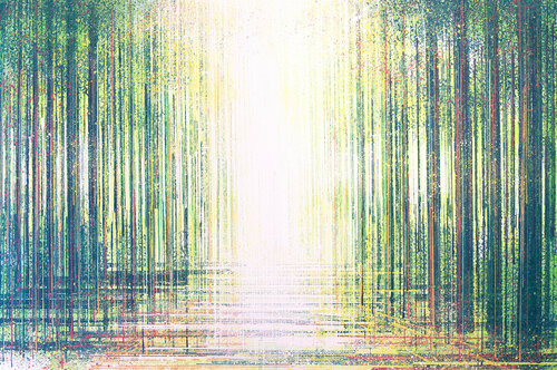 Spring Forest In Bright Light van Marc Todd, Schilderij te koop op Singulart