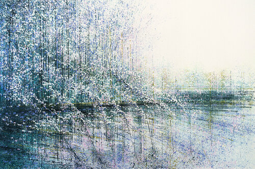 Blossom In Bright Light Marc Todd