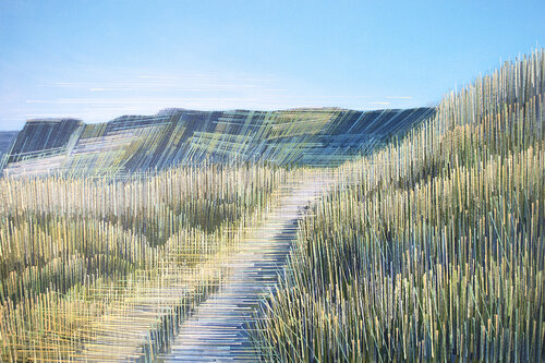 A Summer Sea Cliff Path by Marc Todd, 회화 for Sale on Singulart
