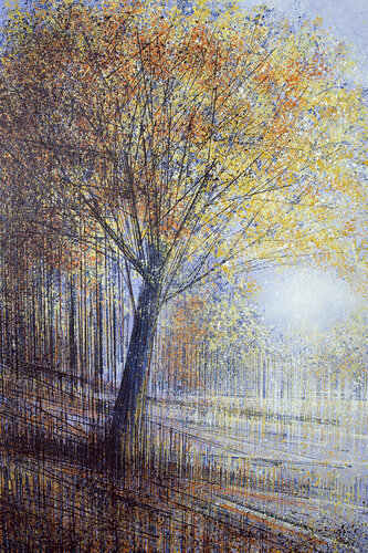Tree In Evening Light di Marc Todd, Pittura in vendita su Singulart