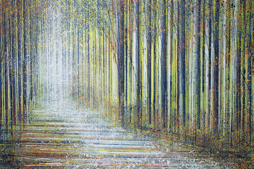 Forest In Spring di Marc Todd, Pittura in vendita su Singulart