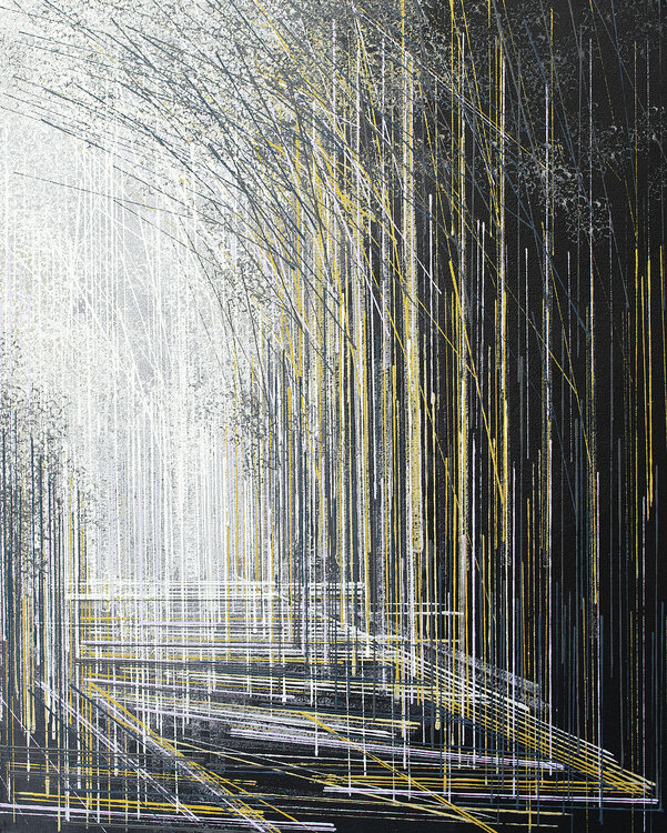 Trees At Last Light Marc Todd