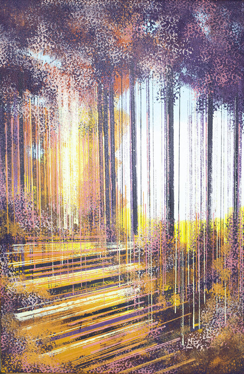 Forest Sunset Marc Todd