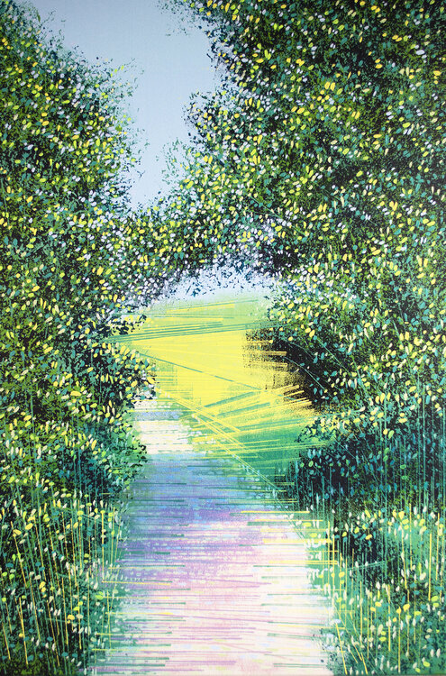 Summer Path In Bright Light Marc Todd