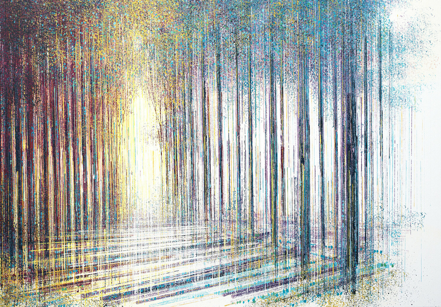 Forest Trees In Morning Light Marc Todd