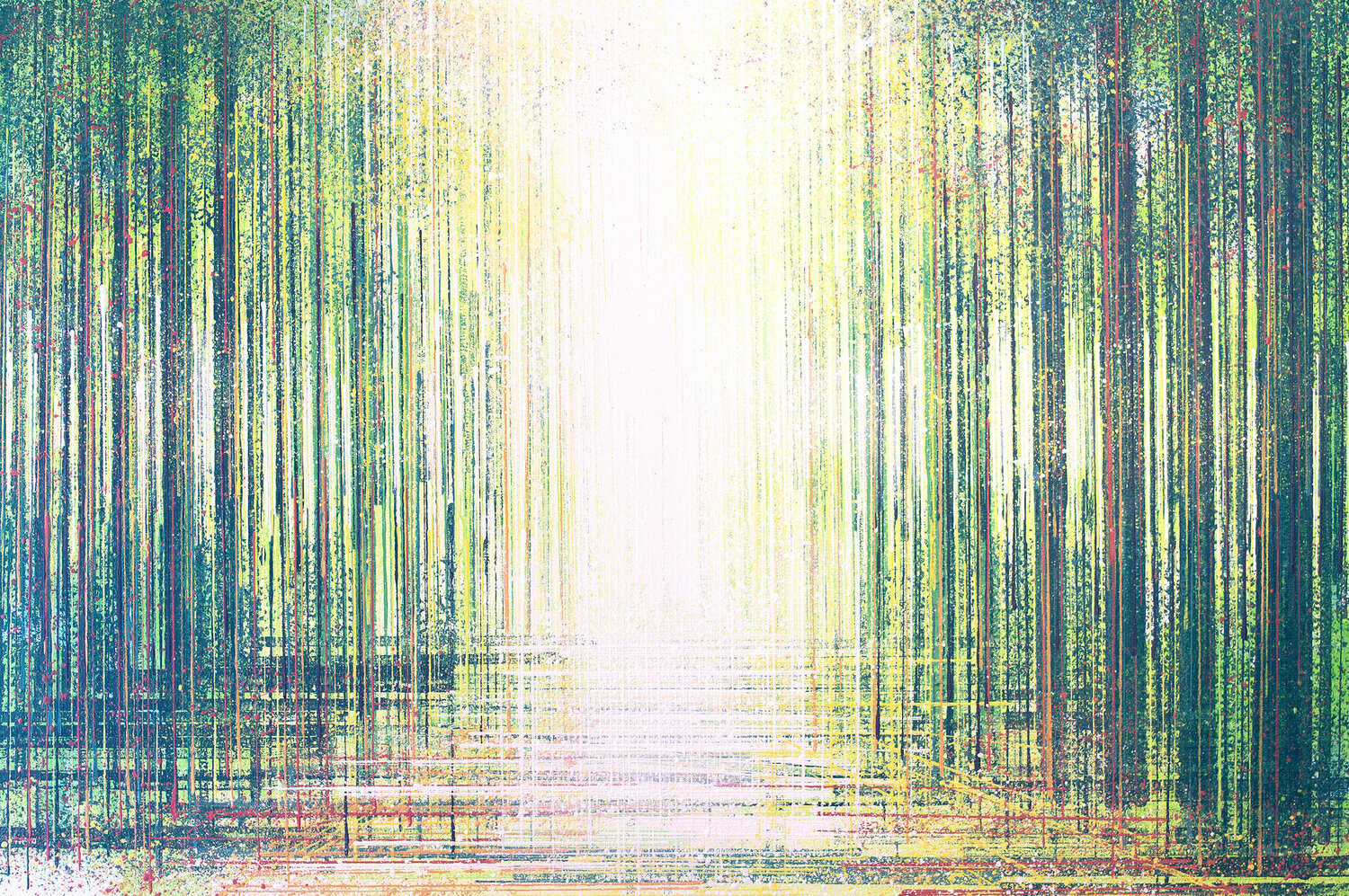 Spring Forest In Bright Light Marc Todd