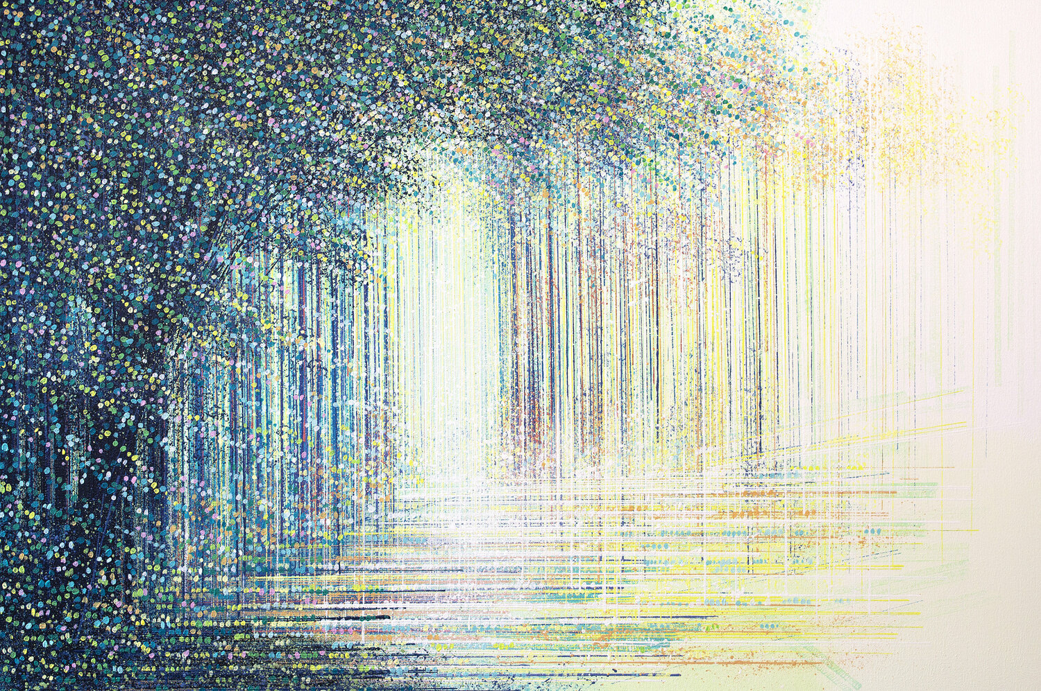 Tree In Bright Summer Light Marc Todd