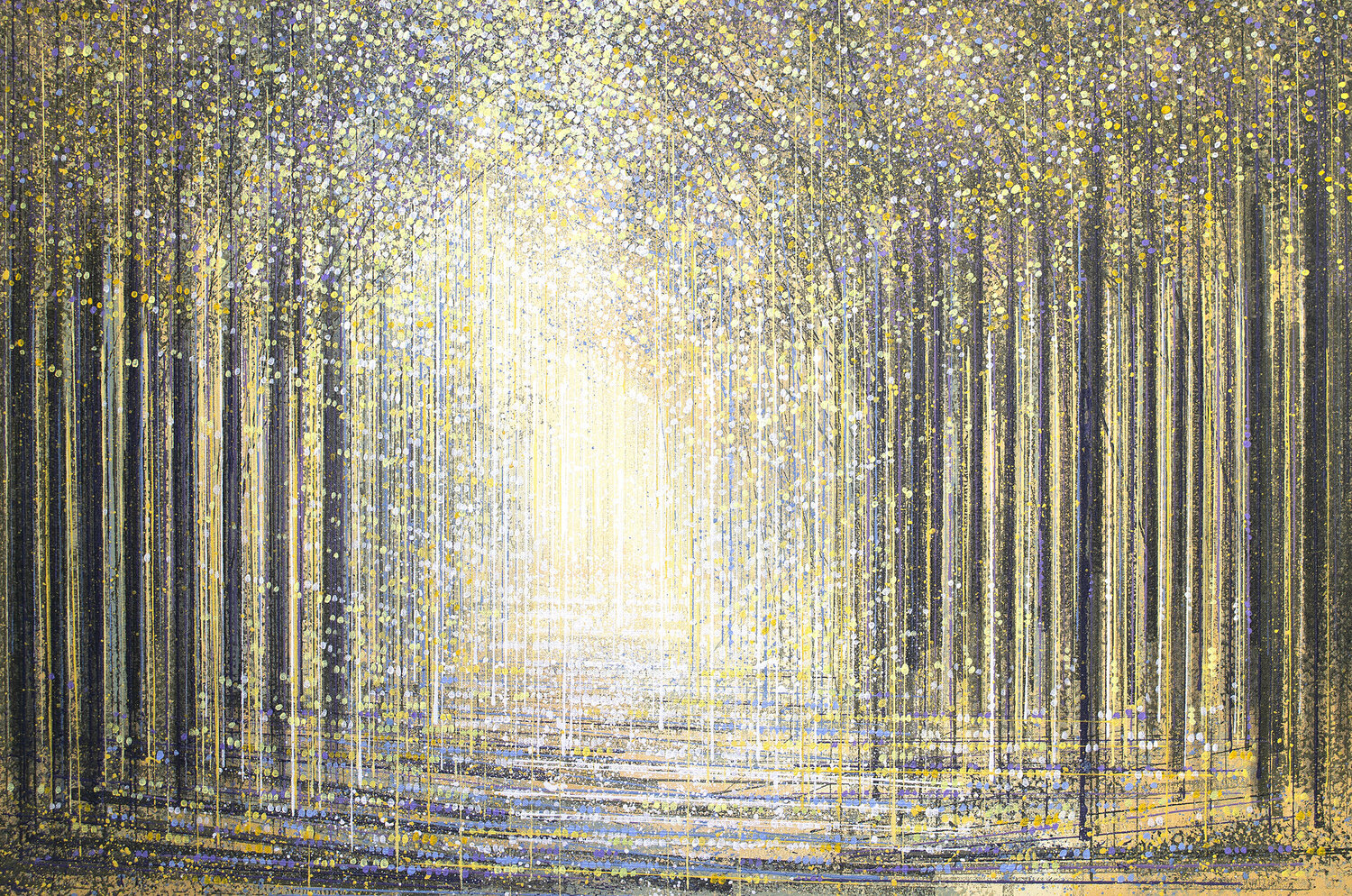 Forest Trees As night Falls Marc Todd
