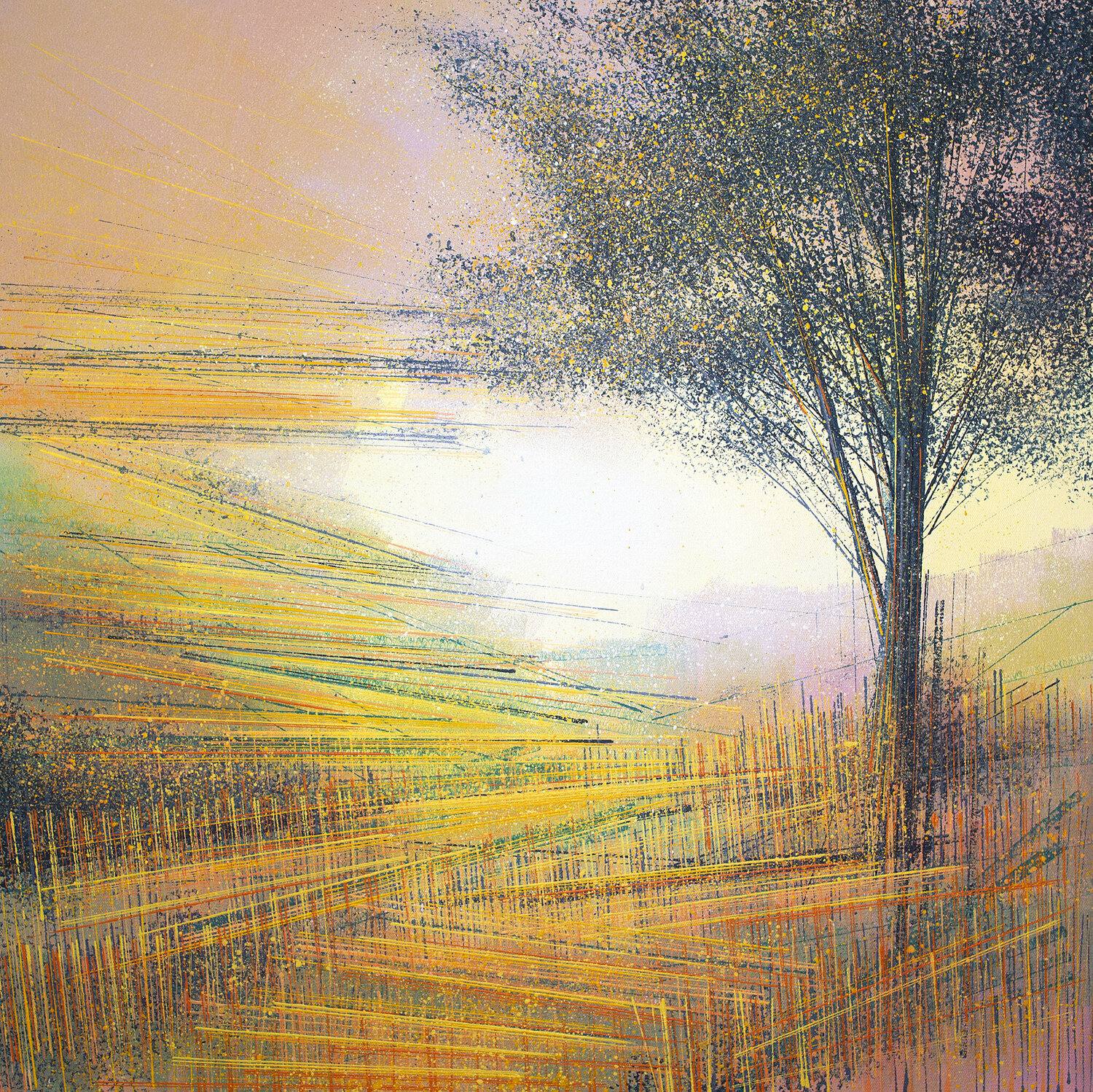 Summer Tree At Sunset Marc Todd