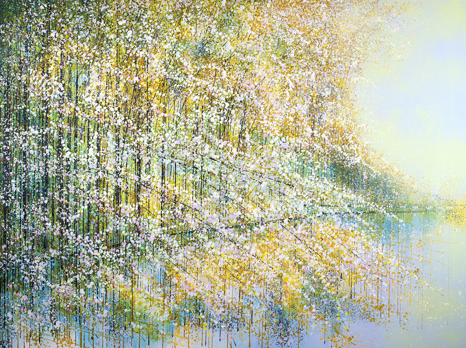 Spring Blossom Trees In Afternoon Light Marc Todd