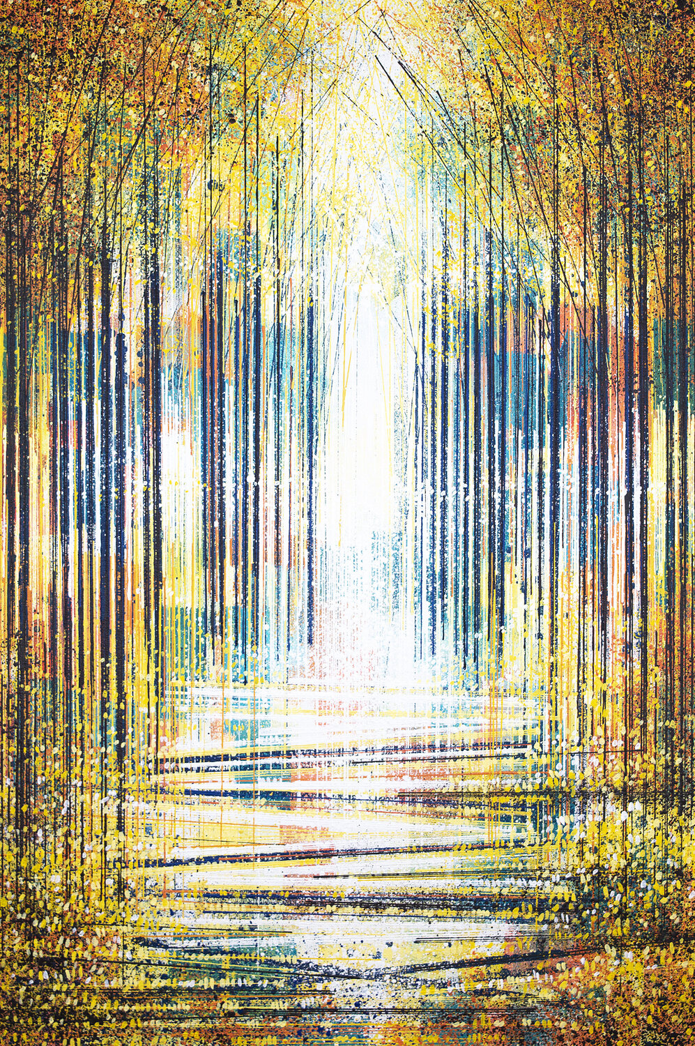 Autumn Forest In Evening Light Marc Todd