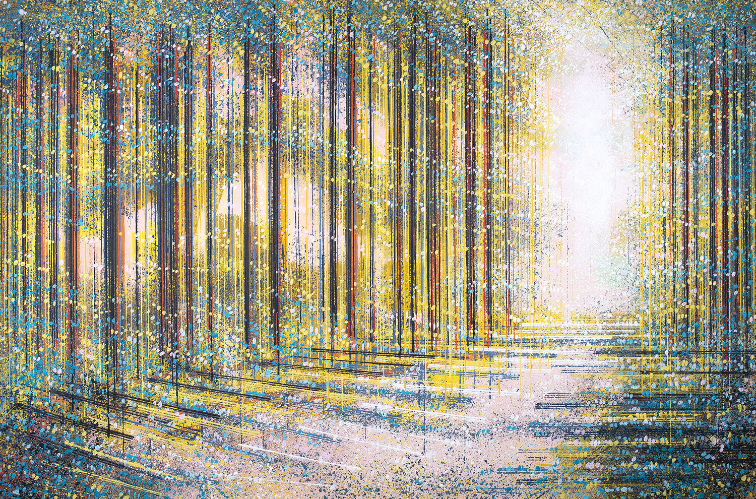 Forest Path In Evening Light Marc Todd