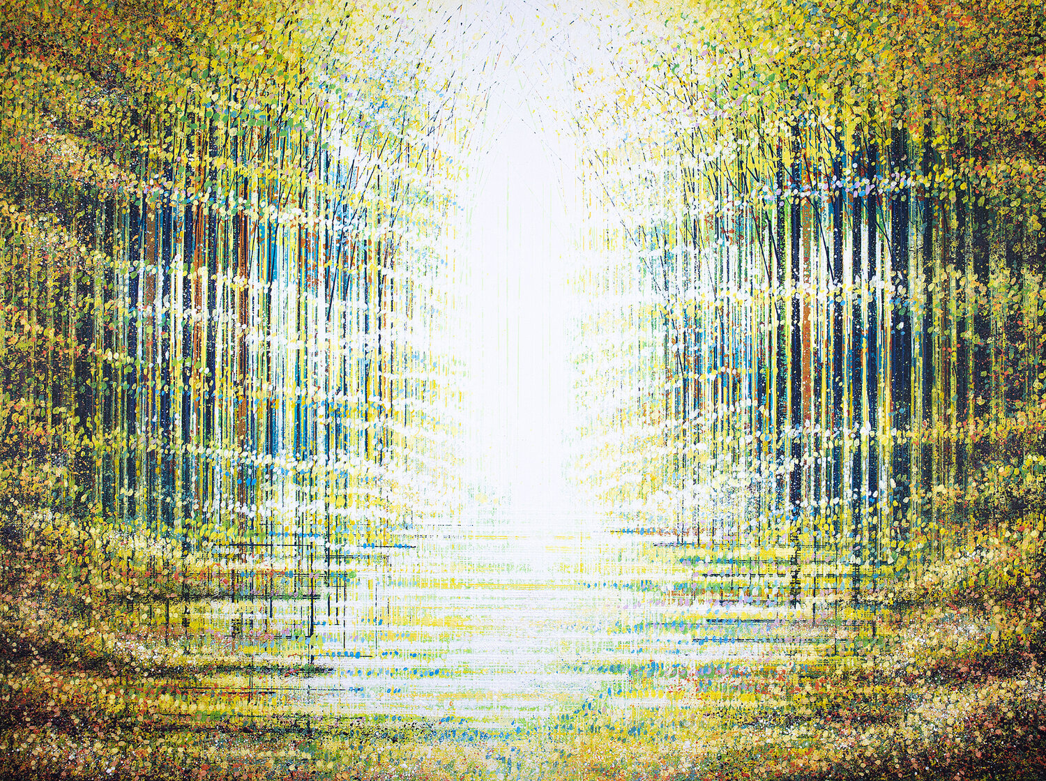 Forest Trees In Golden Light Marc Todd