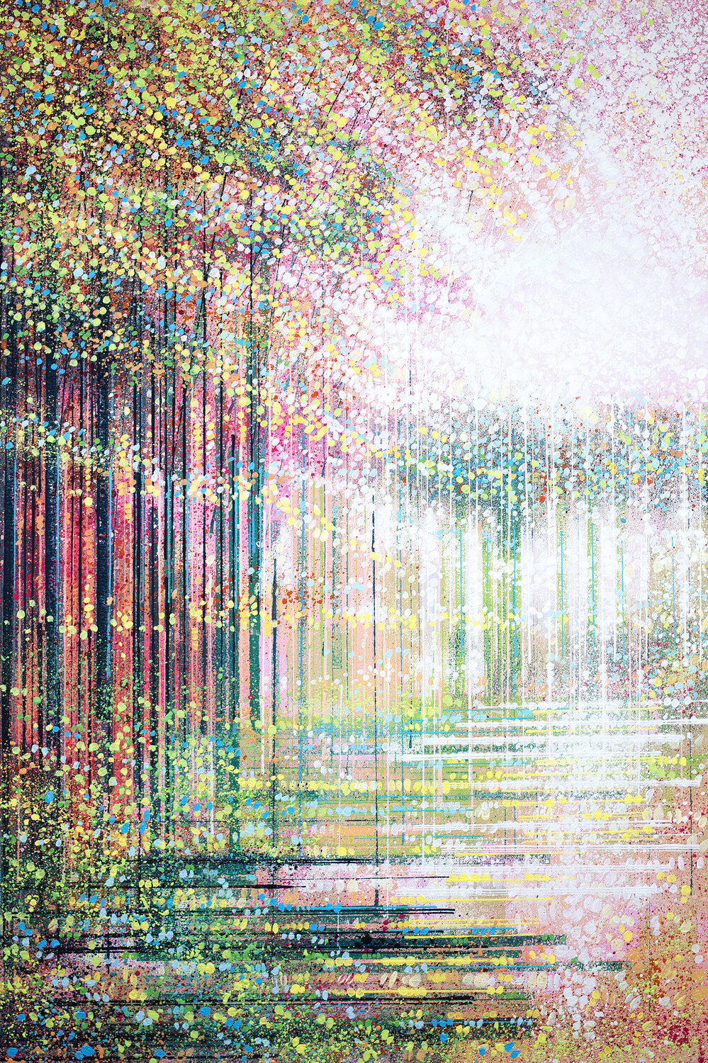 Summer Trees In Bright Morning Light Marc Todd