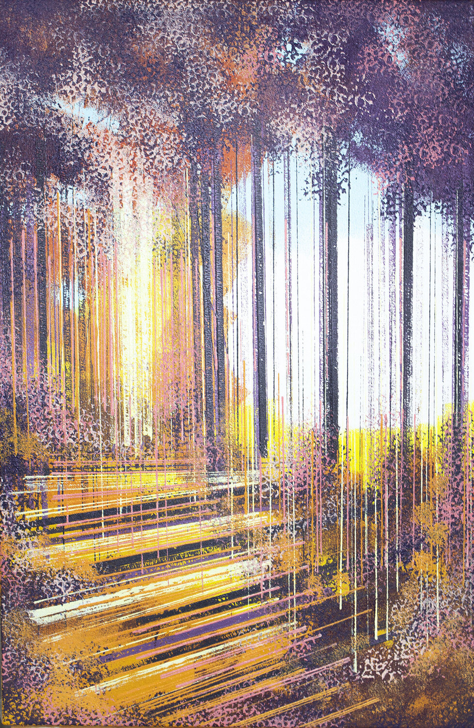 Forest Sunset Marc Todd