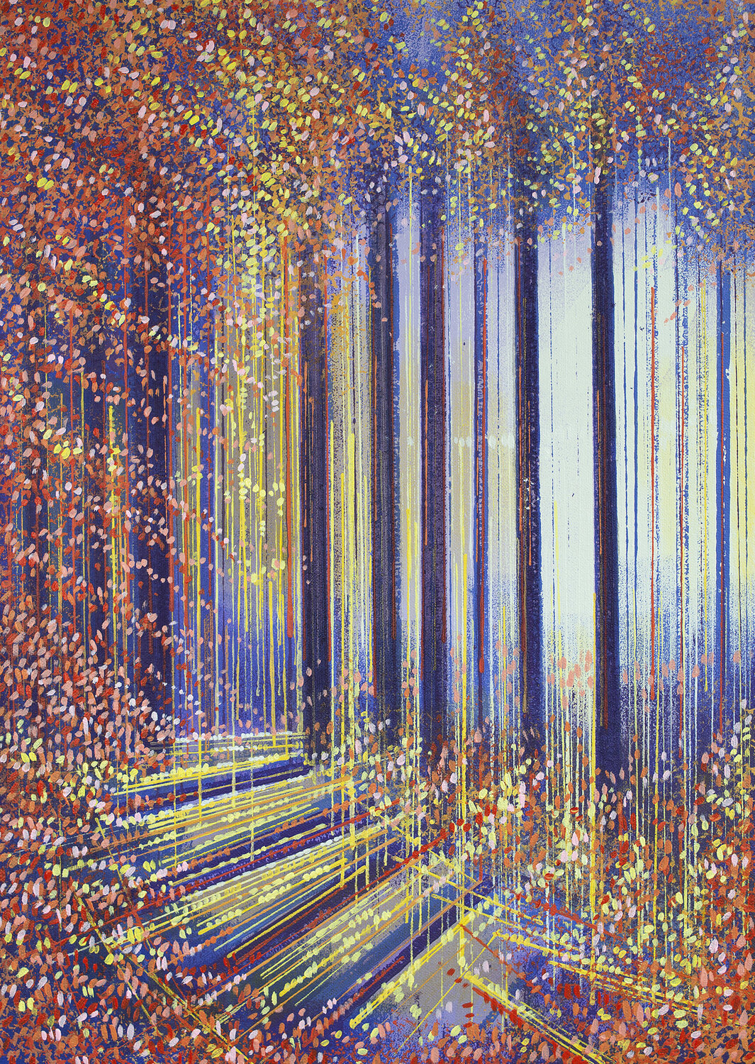 Warm Forest Sunset Marc Todd