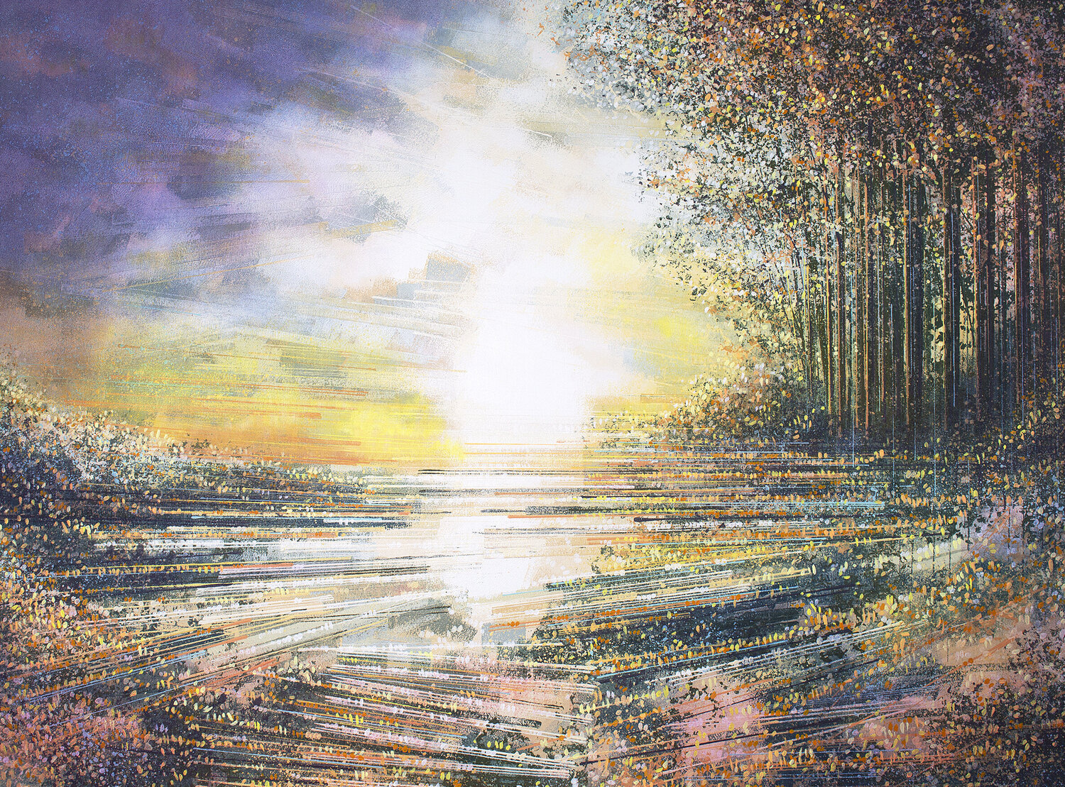 Forest At Sunset Marc Todd