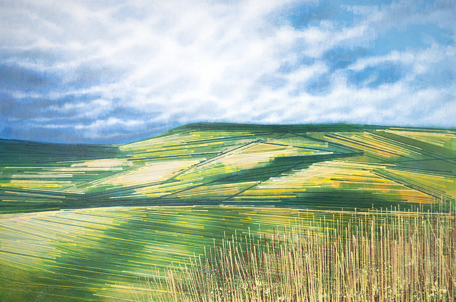 Countryside Hills In Summer Marc Todd