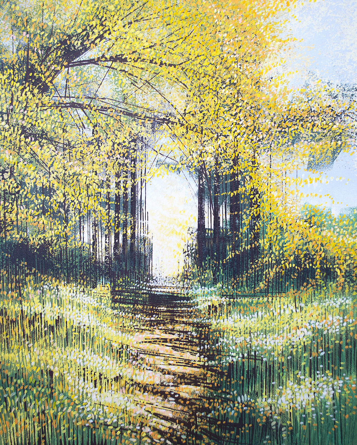 Sunlight Through Autumn Tress Marc Todd