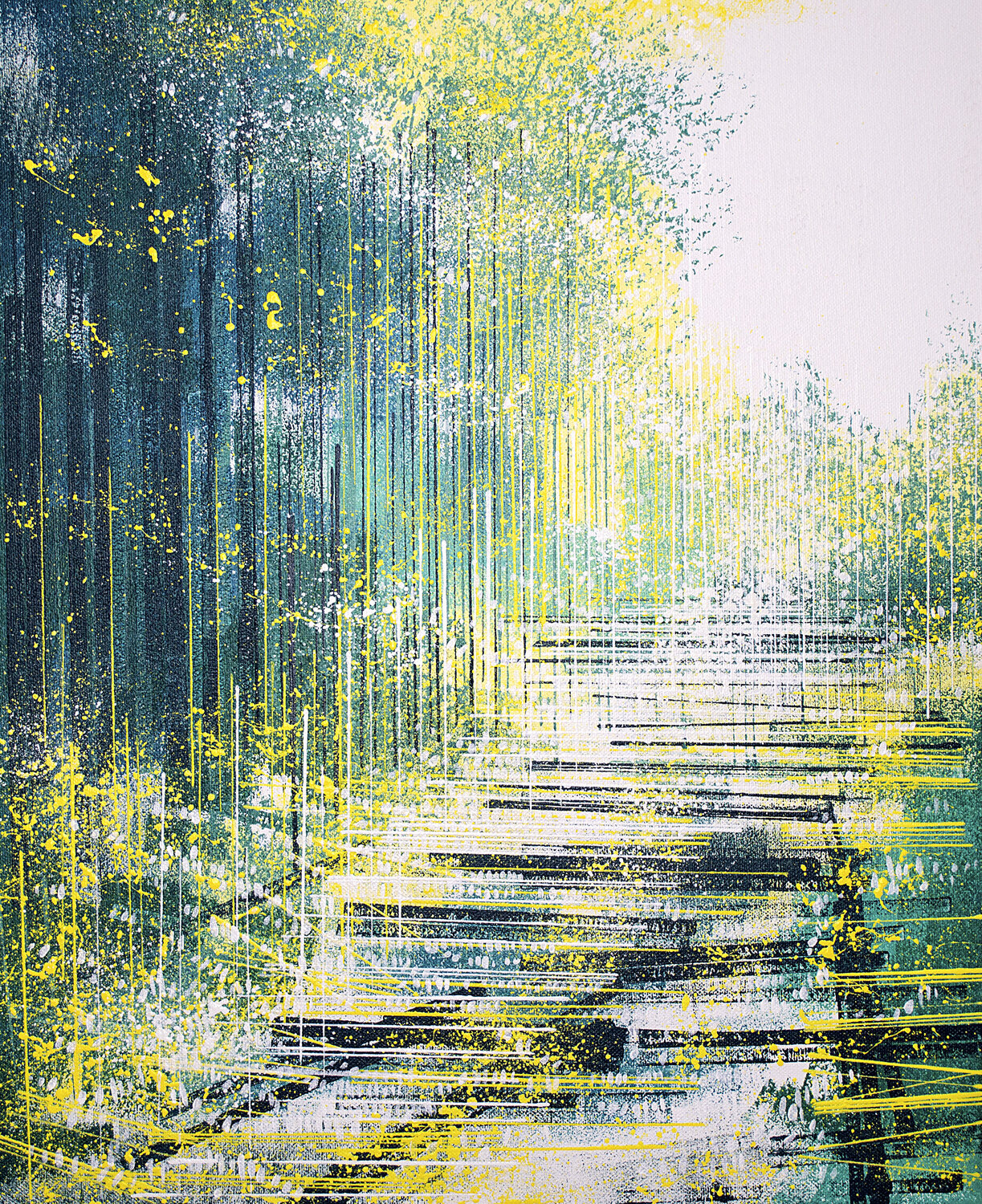 Light Through Spring Forest Marc Todd