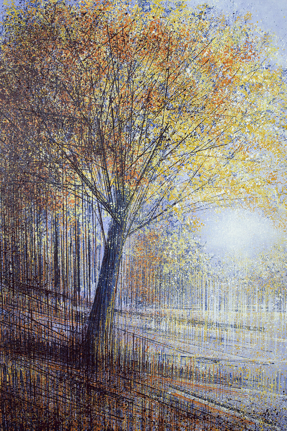 Tree In Evening Light Marc Todd