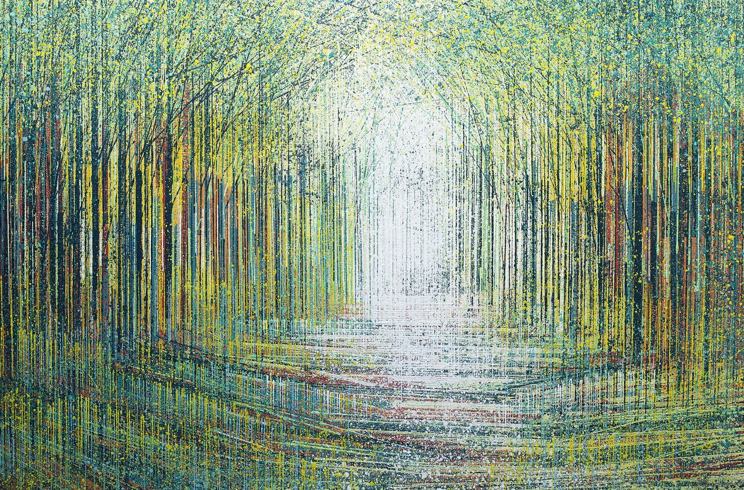 Tree Tunnel In Spring Light Marc Todd