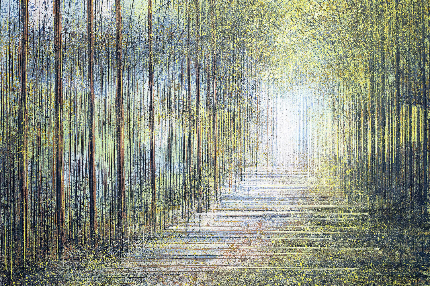 Spring Trees In Afternoon Light Marc Todd