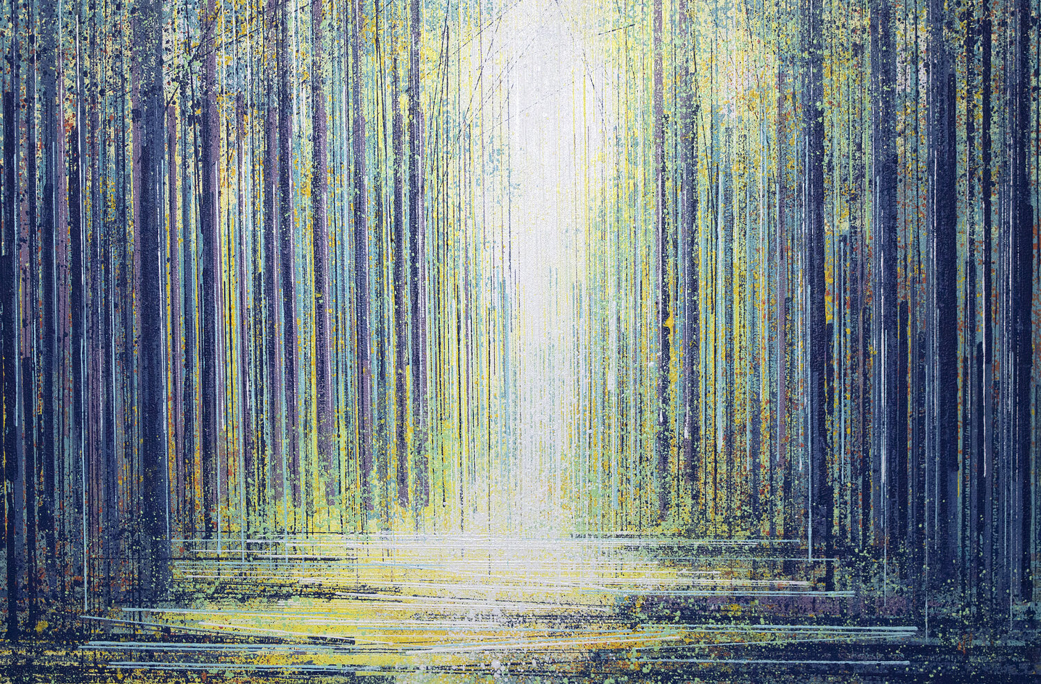 Twilight Trees With White Light Marc Todd