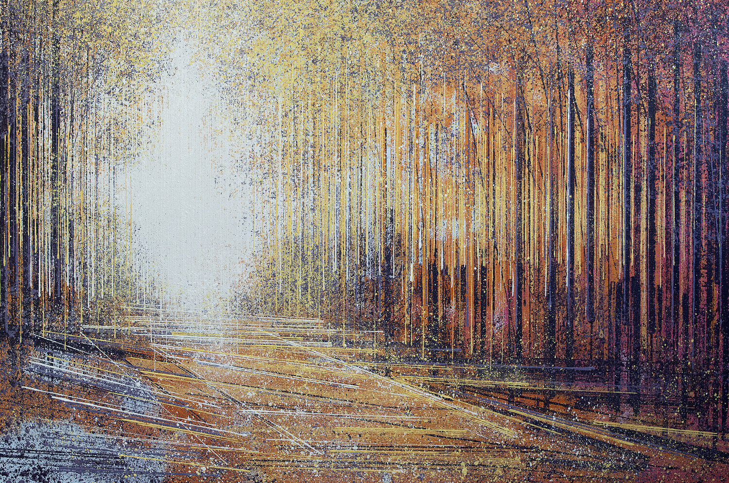 Forest Trees At Sunset Marc Todd