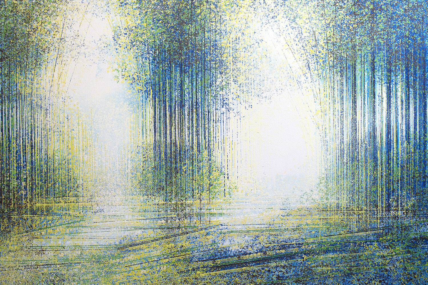 Bright White Light Through Spring Trees Marc Todd