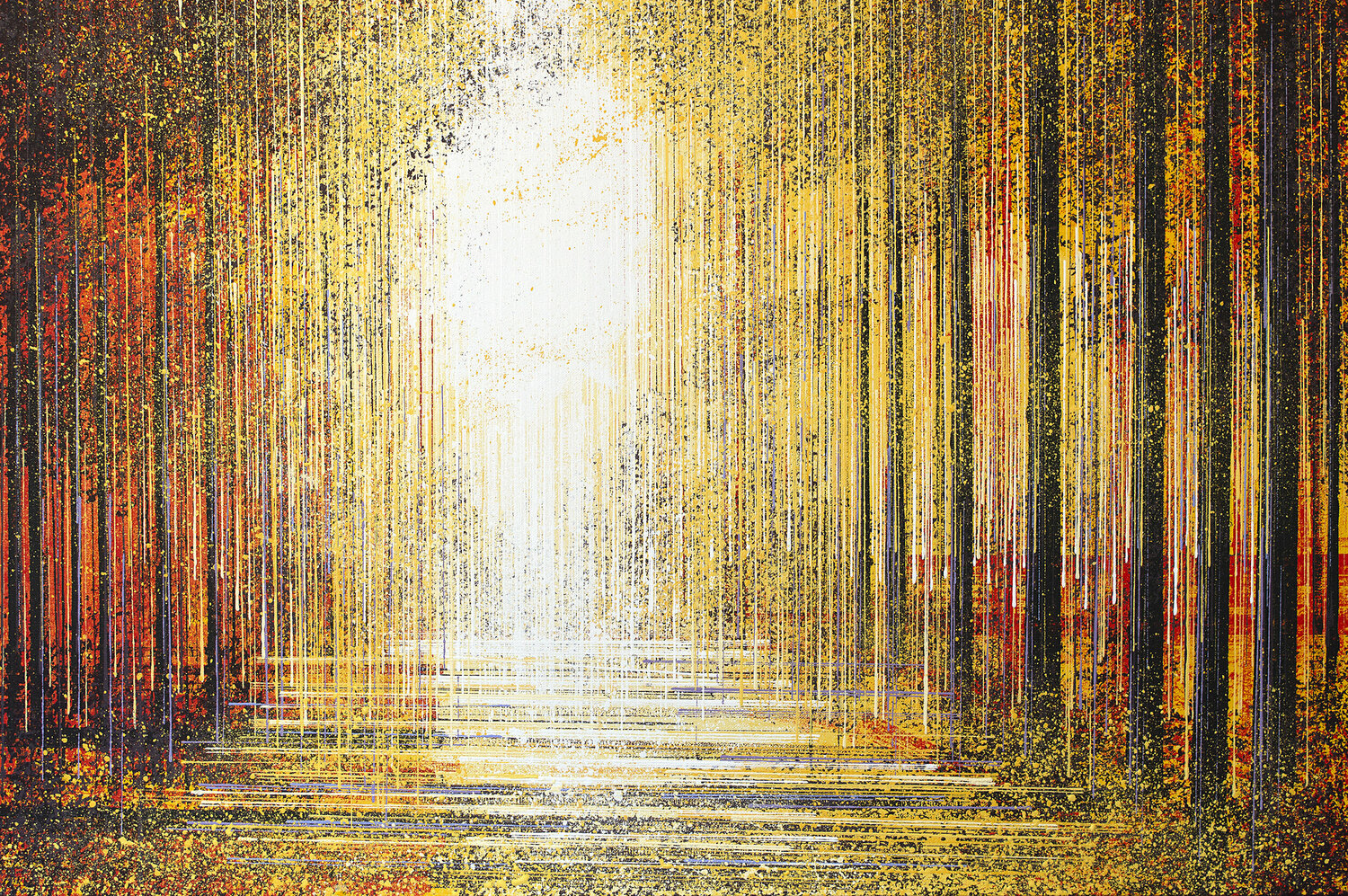 Forest At Sunset Marc Todd