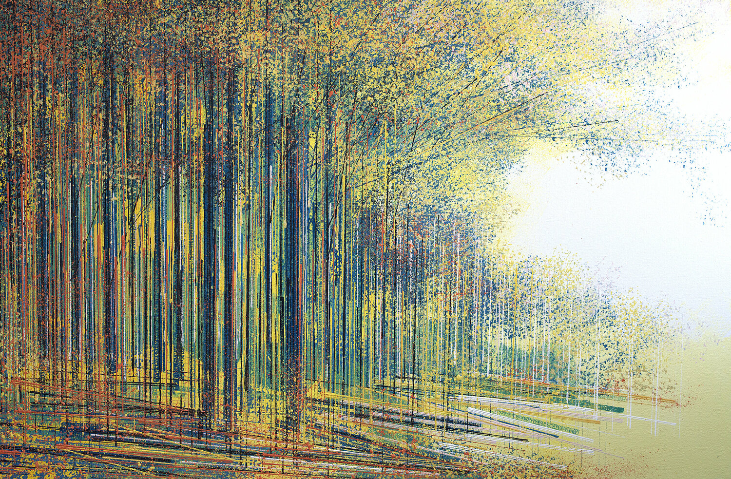 Forest Edge In Evening Light Marc Todd
