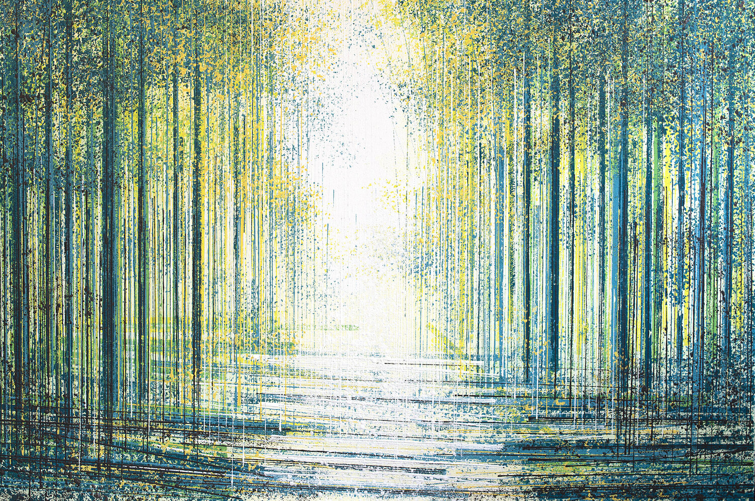 Light Falling Through Summer Forest Marc Todd