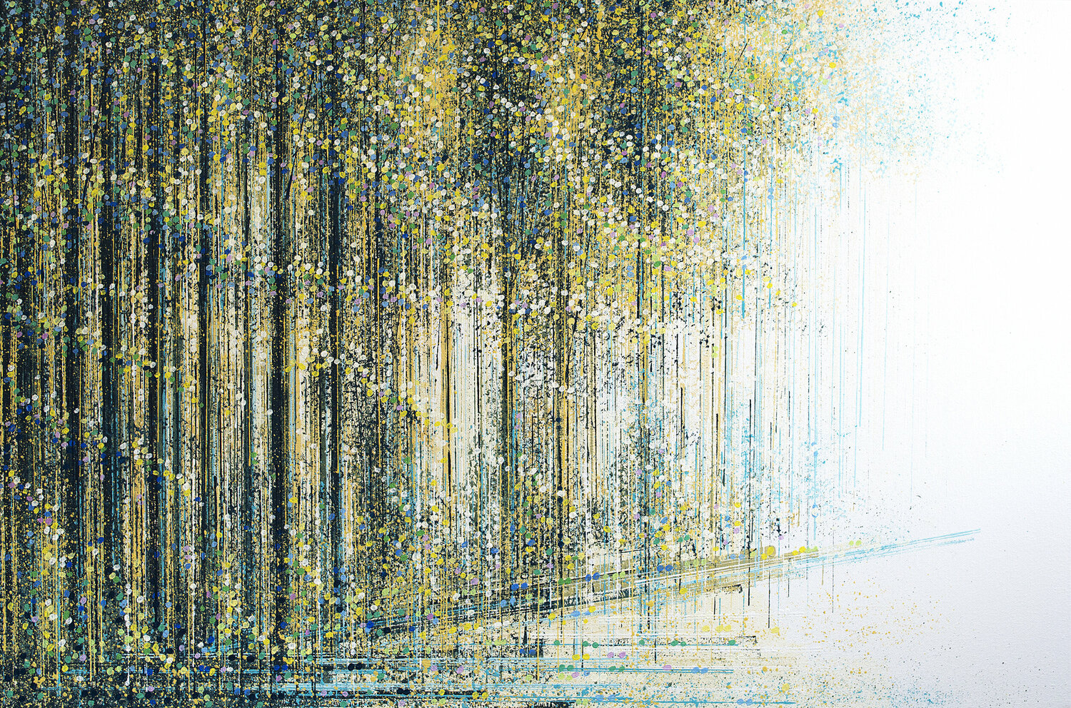 Trees In Bright Morning Light Marc Todd