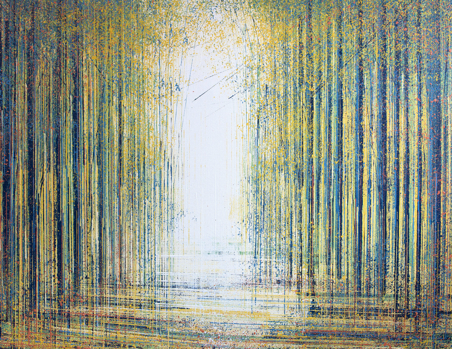 Forest Trees In Early Autumn Marc Todd