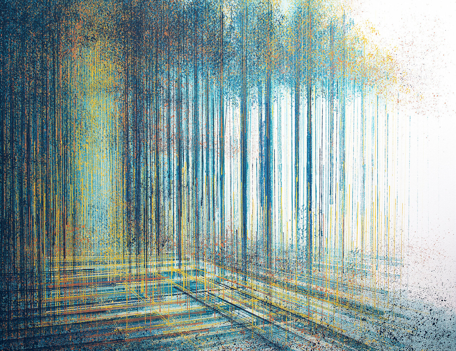 Forest Path In Late Evening Light Marc Todd