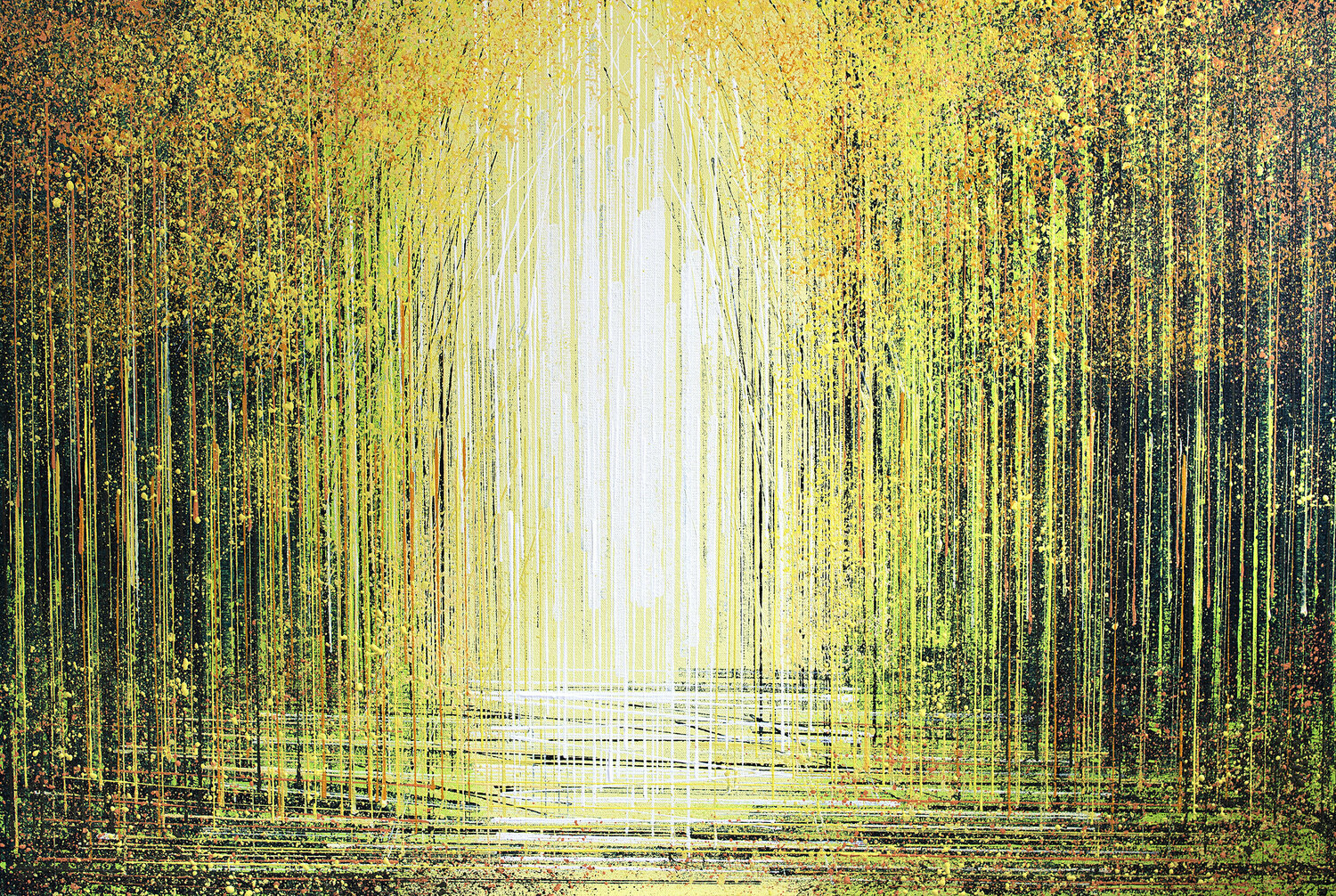 Autumn Trees In Bright Light Marc Todd