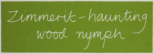 Zimmerit - haunting wood nymph di Ian Hamilton Finlay, Stampa in vendita su Singulart