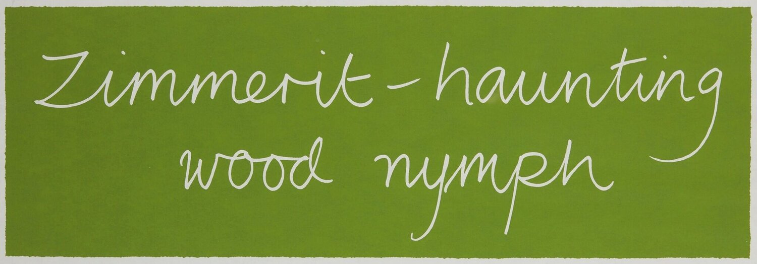Zimmerit - haunting wood nymph Ian Hamilton Finlay Stampa in vendita