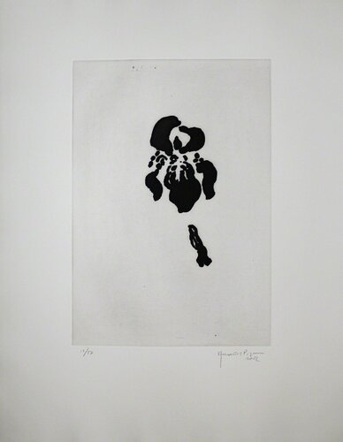 Iris negre V (Black Iris V) by Joan Hernández Pijuan, Print for Sale on Singulart