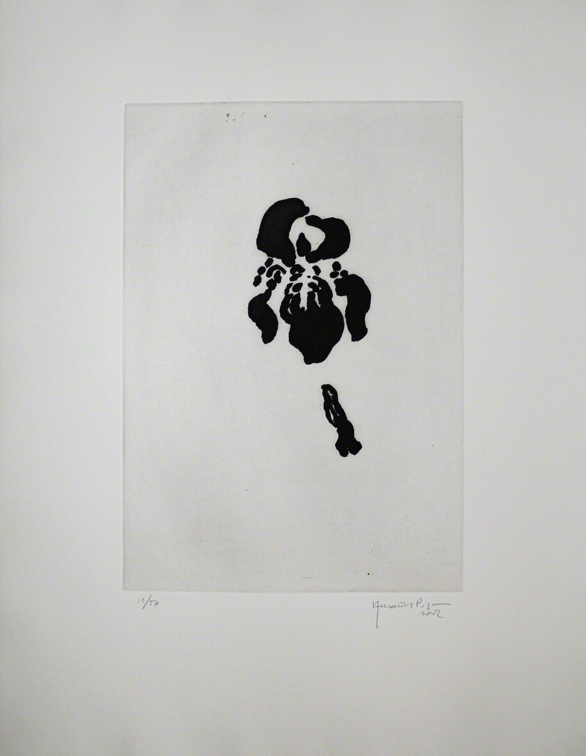 Iris negre V (Black Iris V) Joan Hernández Pijuan