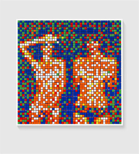 Rubik Country Life van Invader, Afdruk te koop op Singulart