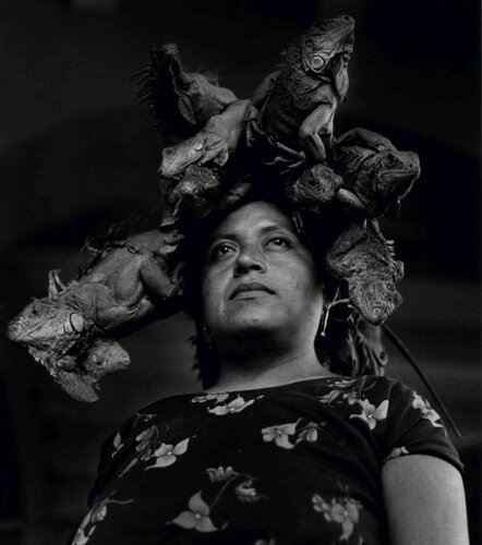Nuestra Senora de las Iguanas Graciela Iturbide