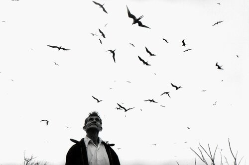 El señor de los pájaros, Nayarit, México Graciela Iturbide