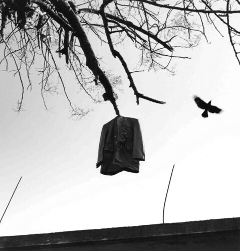 Sin Título (Pájaro y Abrigo) Khajuraho, India von Graciela Iturbide, Fotografie kaufen auf Singulart