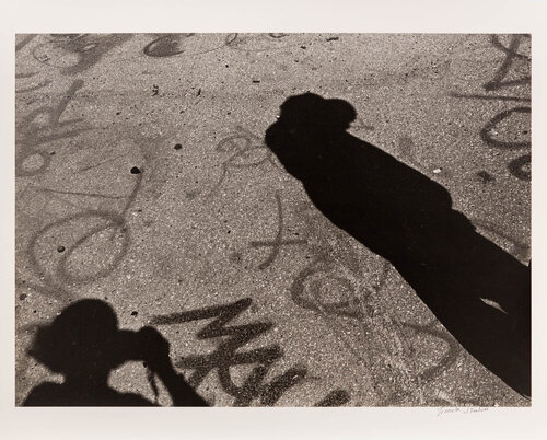 Autorretrato en sombra, White Fence, East Los Ángeles by Graciela Iturbide, 사진 for Sale on Singulart
