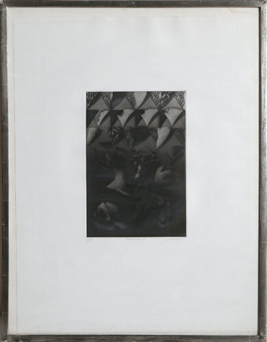 Anemones VI by Bill Jacklin, 인쇄 for Sale on Singulart