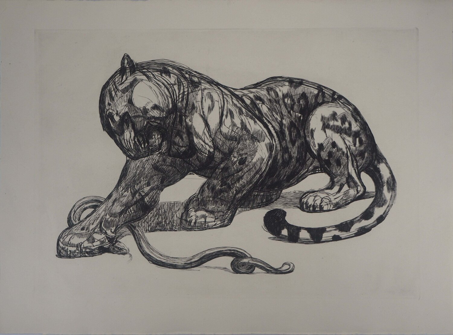 Jaguar et serpent, Gravure originale Paul Jouve Afdruk te koop