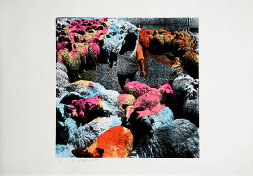 Circle of Sheep by Menashe Kadishman, Print for Sale on Singulart